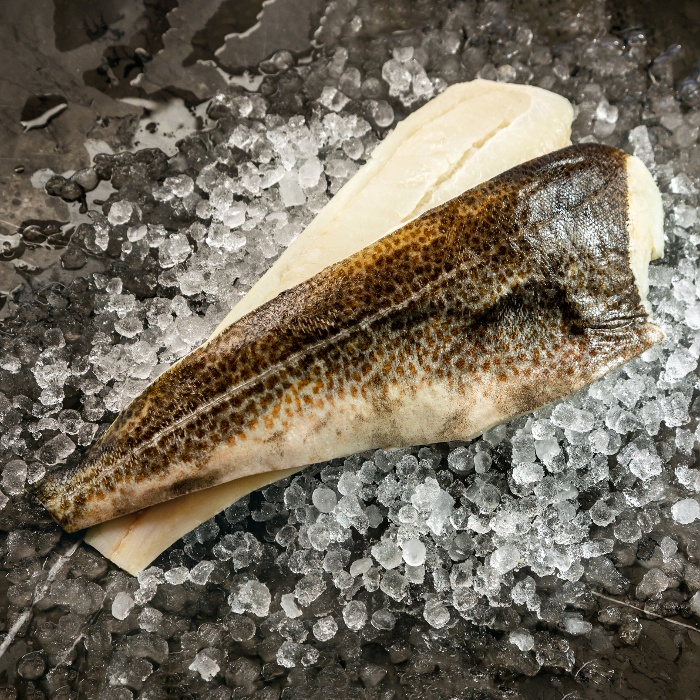 Fogo Cod-2-1